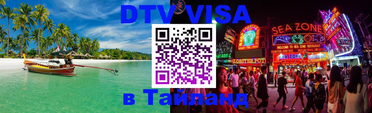 Оформление DTV визы под ключ: стоимость и тарифы, только загранпаспорт - Тирана  04.10.2025 